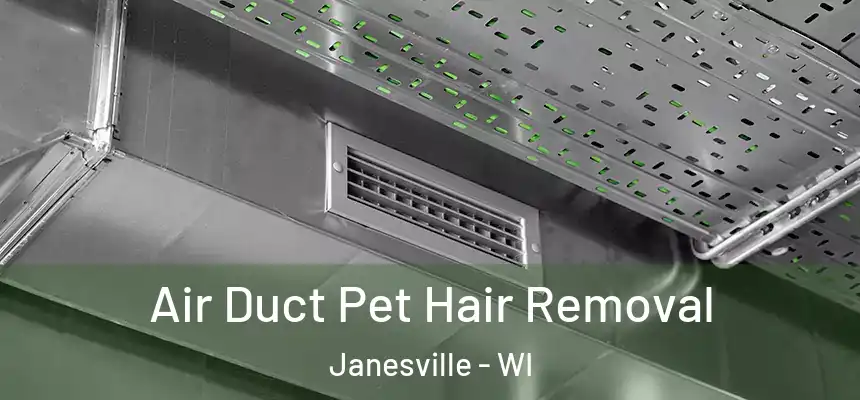 Air Duct Pet Hair Removal Janesville - WI