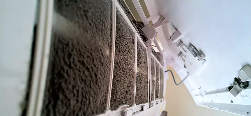 Preventive Air Duct Bacteria Removal in Janesville