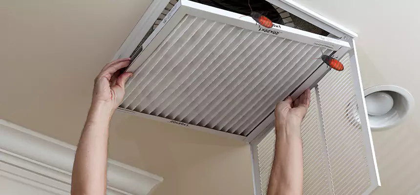 Preventive Cockroach-Proofing for Ducts in Janesville