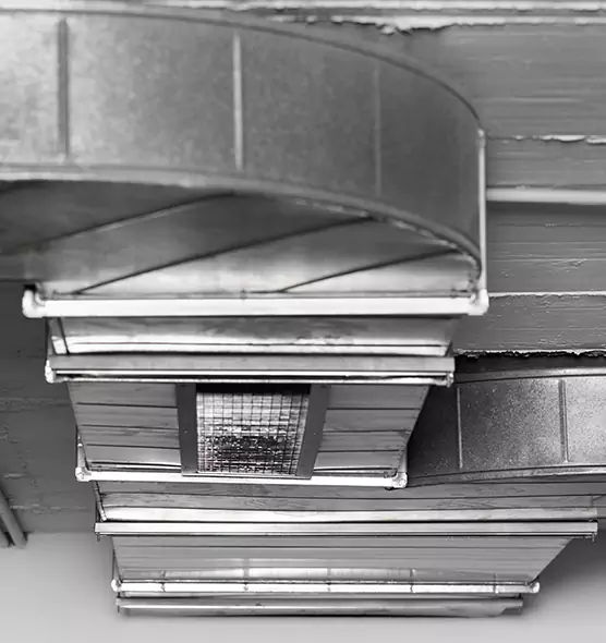 Professional Air Duct Pet Hair Removal in Janesville, WI