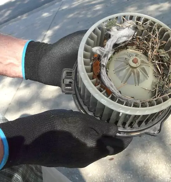 About Air Duct Rat Removal in Janesville, WI