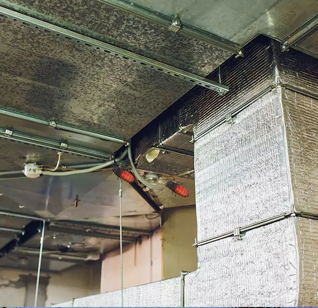 Why Homeowners & Businesses Trust Us Janesville, WI?