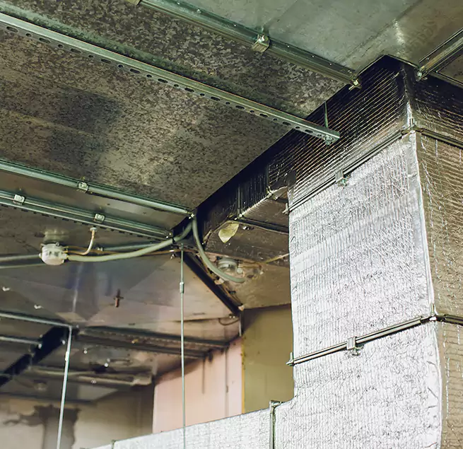 Why Homeowners & Businesses Trust Us in Janesville, WI?